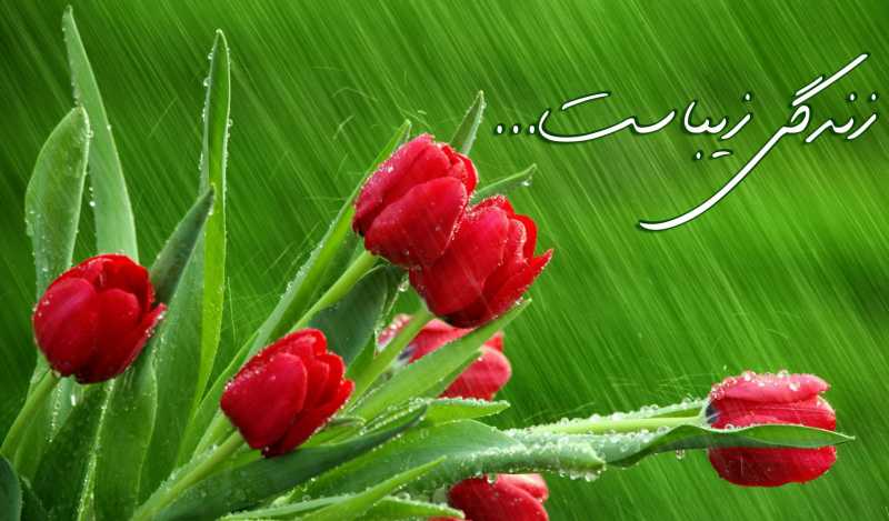 هنر زیبا زیستن