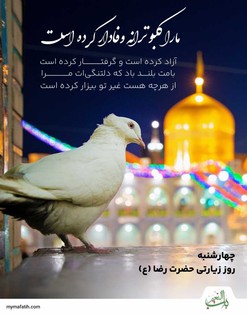 من از امام رضا(ع) کربلا طلب دارم